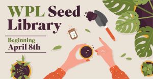 Seeds with plants and dirt